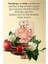 Eve Become Kadın Parfüm Edp 50 Ml. Üçlü Set 3