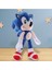 Oyuncak Sonic Oyun Arkadaşı 3