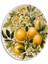 Limon Cam Tablo | Hediyelik, Dekoratif, Ofis, Mutfak 2