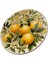 Limon Cam Tablo | Hediyelik, Dekoratif, Ofis, Mutfak 5