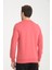 Bisiklet Yaka Basic Ince Mevsimlik Sweatshirt RD23YE581001 4