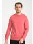 Bisiklet Yaka Basic Ince Mevsimlik Sweatshirt RD23YE581001 5