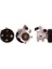 211052 Hidrolik Direksiyon Pompası Partner Berlingo P405 P306 Zdw8 00-03 Kasnak Capı 142MM 4007.82 1
