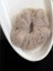 Peluş Simit Toka - Peluş Yumuşak Saç Lastiği Toka 1