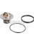 37917350 Termostat O-Ring ve Conta Iıe Febı 17350 4809509 1