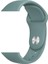 Watch 38MM Uyumlu Klasik Kordon Zore - 48-Cactus 1