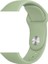 Watch 42MM Uyumlu Klasik Kordon Zore - 20-Mint 1