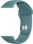 Watch 42MM Uyumlu Klasik Kordon Zore - 43-Pine Green 1
