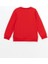 Lcw Kids Bisiklet Yaka Baskılı Erkek Çocuk Sweatshirt 2