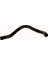 96179 Hortum Radyatör Alt-Honda Civic 92-01 19502P2A000 1