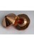 0,8MM/EAA/MAT=1324858 1
