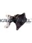 10010413 Motor Takozu Sağ Polo Ibiza Fabia 1.4 16V 6Q0199267BM 1