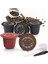 38X38X30MM 06 Stili Pcs Kahve Kapsülü Doldurulabilir Yeniden Kullanılabilir Herbruikbare Hervulbare Nespresso Makinesi Kapsül Plastik Filtre Bardakları Kaşık Fırça (Yurt Dışından) 2
