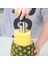 Yeşil Stil Yeni Varış, Ananas Dilimleme Soyucu Kesici Parer Bıçağı Paslanmaz Çelik Mutfak Meyve Araçları Pişirme Araçları (Yurt Dışından) 4