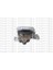 10011123 Motor Takozu (Yağlı) Ford Focus Iıı 11-17 C-Max 11-17 Conncet 14-1.0-1.5 L Ecoboost Benzinli CV616F012EC 1