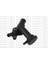 08110023 Termostat Muhafazası Mini Cooper R50 R53 R52 Kapaklı 11537829959 1