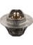 62917694 Termostat 88C Renault 11 Flash Renault 9 Renault 19 D Laguna (93 01) Kangoo Ducato P106 P30P405 Xantia 1338.27 1