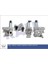 354705 Egr Valve Laguna Iı-Megane Iı-Scenic Iı 7701058850 1