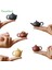 No.9 Tarzı Mini Çay Evcil Teaware Kung Fu Çay Seti Mor Kil Çay Potu El Yapımı Yaratıcı Parmak Pot Çay Oynama (Yurt Dışından) 2