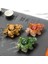 C1 - 11.5X8X5.5CM Stili 1 Adet Reçine Renk Değiştiren Çay Pet Toad Heykelcik Kurbağa Heykeli Sikke Süs ile Butik Çay Masa Dekorasyon Aksesuarları El Sanatları (Yurt Dışından) 5