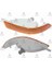 2121654R3AE Tampon Sinyal Lambası Sağ Duylu Ampullu Corolla AE100-AE101 93-97 8151012670 1