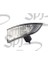 Z-0110 Dış Dikiz Ayna Sinyali Sağ Megane Iıı 09-Fluence 09- 261600001R 1