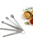Baharat Çeşni Tatlandırıcı Baharat Lezzet Için Metal Ölçüm Kaşığı Paslanmaz Çelik Mini Ölçme Kaşığı (Yurt Dışından) 2