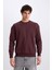 Boxy Fit Bisiklet Yaka Baskılı Sweatshirt X8282AZ24AU 4