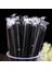 Renk 100 Adet Tarzı 19CM Süt Teasoy Pipet Süt ve Meyve Suyu Şeffaf Pipet Tek Tek Paketlenmiş Düz Pipet Çevre Dostu (Yurt Dışından) 3