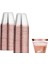 Gül Altın Tarzı 4 Adet Tek Kullanımlık Rose Gold Edge Sert Plastik Havacılık Bardağı Suyu Viski Bardağı Altın Tozu Zemin Dokusu Tatlı Bardağı Mus Bardağı (Yurt Dışından) 1