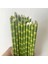 B Tarzı 19CM 100 Adet Kraft Kağıt Tek Kullanımlık Strawers Ev Mutfak Bar Aksesuarları Parti Malzemeleri Bir Kez Yaratıcı Kağıt Bambu Desen Payet (Yurt Dışından) 3
