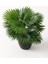 Yapay Çiçek Yelpaze Palmiye 8 Dal 50*35CM Salon Çiçeği Plastik Siyah Saksılı Yapay Bitki 2