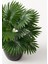 Yapay Çiçek Yelpaze Palmiye 8 Dal 50*35CM Salon Çiçeği Plastik Siyah Saksılı Yapay Bitki 3