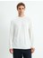 Basic Sweatshirt Bisiklet Yaka Uzun Kollu 3