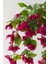 Yapay Sarmaşık Begonvil Pembe 70 cm 4