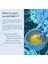 Lab Liposomal Nad Supplement, Highest Nad+ Potency For Anti-Aging, Energy, Focus - 120 Capsul.made In Usa 6