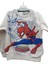 Spider Man Örümcek Adam Erkek Çocuk Alt Üst Takım 3