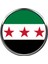 Özgür Suriye Syria 3 Yıldızlı Ülke Bayrağı Çelik Pin 3D Yuvarlak Büyüteç Camlı Rozet 1