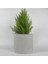 Dekoratif Beton Saksı - Orta Boy Silindir - Gri/beyaz - 13X15CM 1