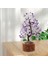 Pozitif Enerji Için Doğal Krıstal Yaşam Ağacı Feng Shui Dekoru Sahte Bonsai Kristalleri ve Şifa Taşları Para Ağacı Oda Dekoru Şifa Kristalleri Manevi Hediyeler (Yurt Dışından) 5
