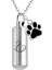 Silindir-4 Paslanmaz Çelik Urn Kolye Külleri Için Kedi Pet Kremasyon Anıt Külleri Takı Keepsakes Kolye Kadın Erkek (Yurt Dışından) 1
