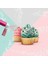 Mor Tarzı Kek Manuel Pistole Püskürtme Tabancası Boyama Pişirme Dekorasyon Cupcakes Tatlılar Pasta Dekorasyon Püskürtme Aracı (Yurt Dışından) 5