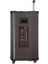 PL-4607 Rgb Işıklı Usb/tf/fm/bt/tws Kablosuz Mikrofonlu Öğretmen/toplantı Anfisi (NDR-512) 4