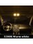 E90 - 10 Adet Tarzı Beyaz Uyar Bmw Serisi Için Bmtxms Canbus E87 E81 F20 E46 E90 E91 E92 E93 E39 E60 E61 F10 F11 E38 E65 E66 Araba Led Iç Işık Kiti (Yurt Dışından) 1