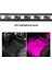 48Led Usb Leepee Rgb Otomotiv Iç Dekoratif Işıklar Led Araba Ayak Işığı Atmosfer Lambası Ortam Lambası Uzaktan Ses Kontrolü (Yurt Dışından) 3