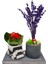 Mini Car Lavanta ve Kalanchoe Set & Beton Arabalı Saksı Setinde Canlı Bitki Çiçekli Kalanşo Hediye 1