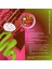 Coconut Pink Matcha - Hindistan Cevizi Aromalı Pembe Superfood Matcha Tozu 100 gr 5