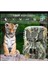 Fotokapan Kamera 16MP Full Hd 1080P Gece Görüşlü 2 Inç LCD Ekran Su Geçirmez Trail Camera 2