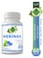 Moringa Kapsül 1