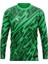 Erkek Uzun Kollu Yeşil Nefes Alabilen Kaleci Forması ve Şortu Goalkeeper Jersey Gk DMNF5587 4